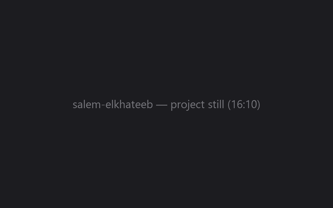 salem elkhateeb — portfolio 2025 project preview