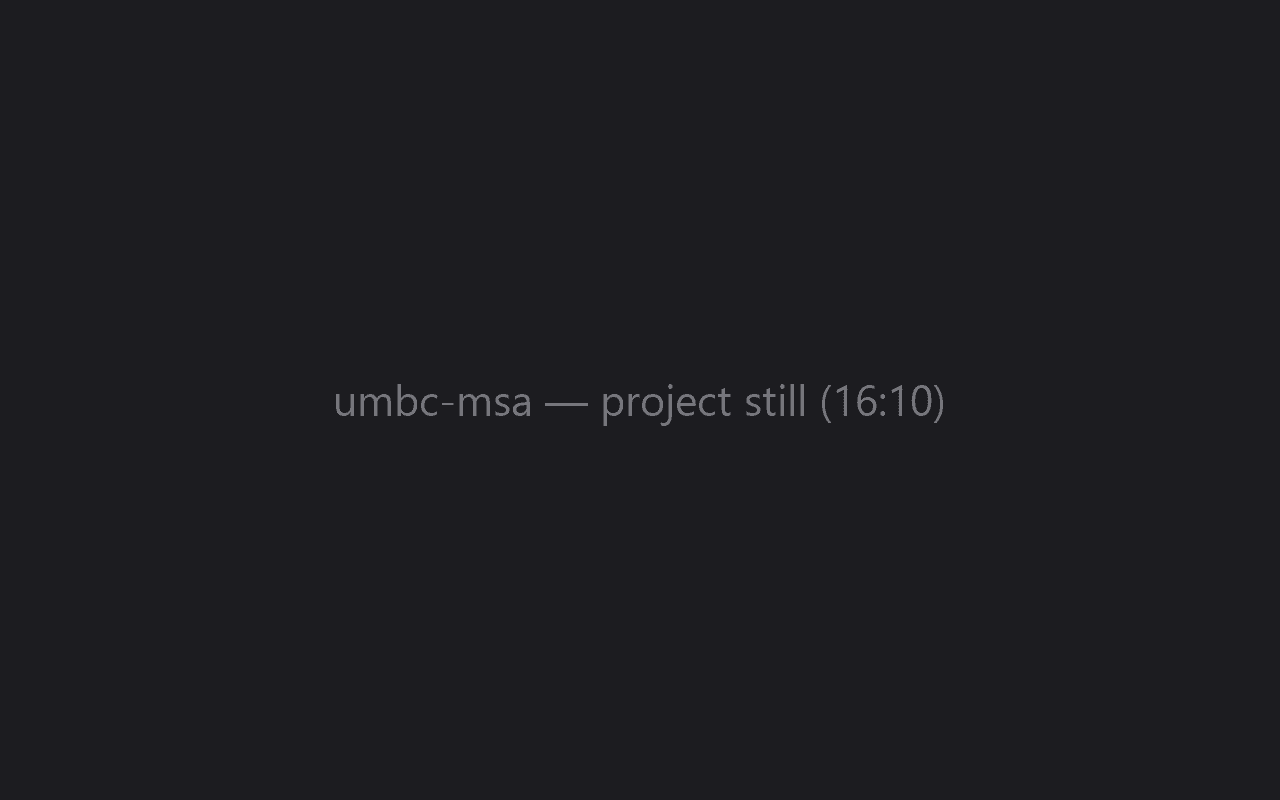 umbc msa — web 2024 project preview